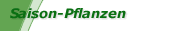 Unsere Saison-Pflanzen